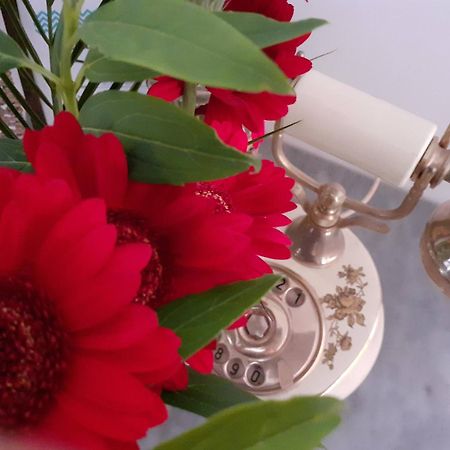 B&B Alla Bon'Ora Volpago del Montello 客房 照片