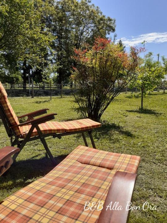 B&B Alla Bon'Ora Volpago del Montello 外观 照片